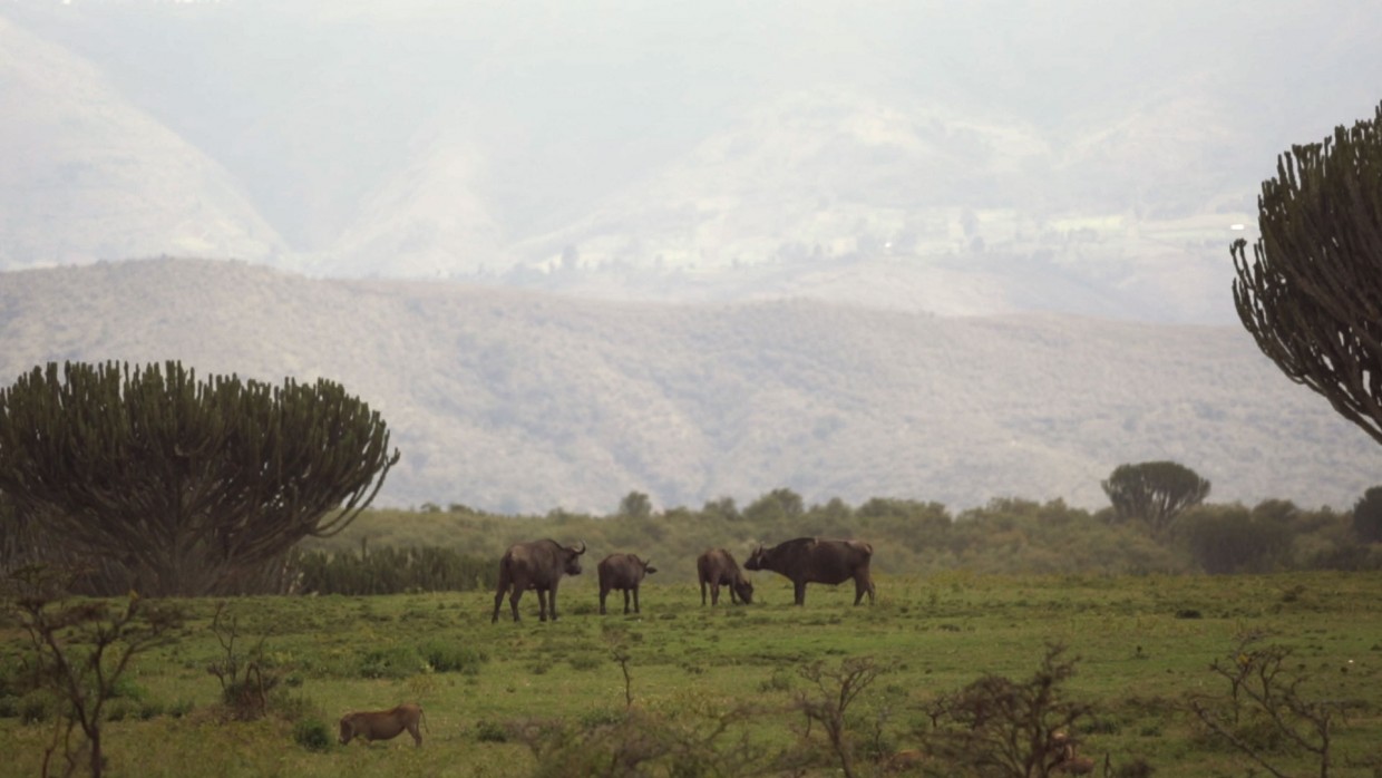 Makingof MissTuning bild 3