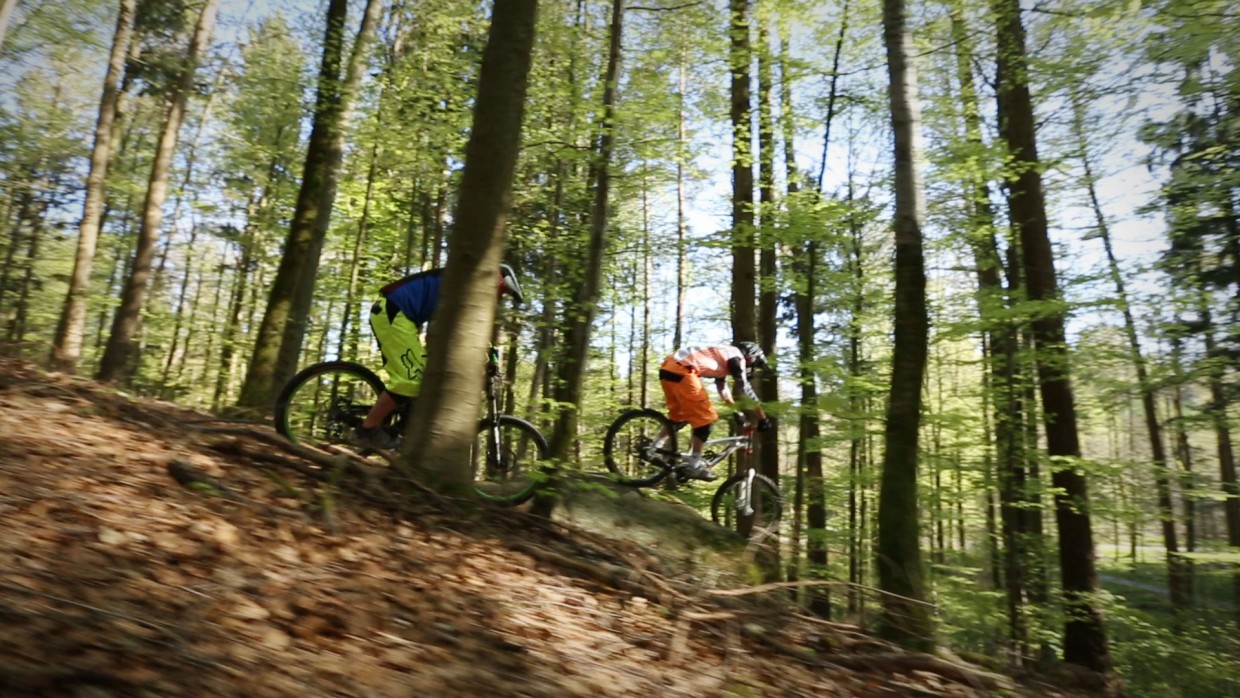 Mountainbike Kickach Bild 5